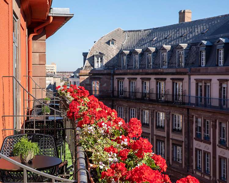 chambre privilège au coeur de Strasbourg