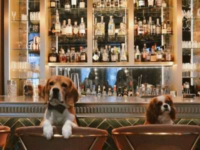 Hotel Spa Restaurant & Bar | Strasbourg Alsace