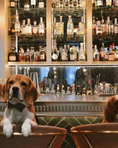 Hotel Spa Restaurant & Bar | Strasbourg Alsace