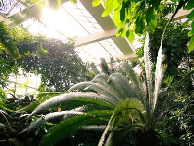 Jardin botanique de l'Université de Strasbourg