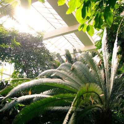 Jardin botanique de l'Université de Strasbourg