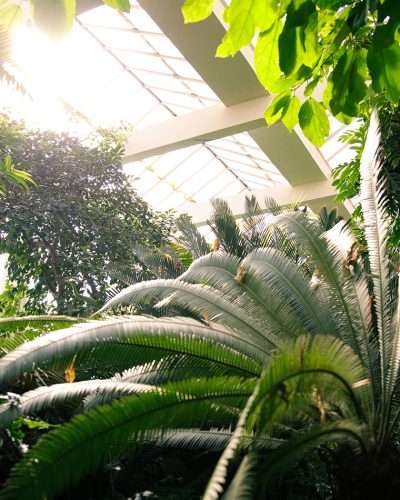 Jardin botanique de l'Université de Strasbourg