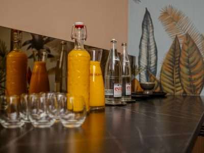Hotel Spa Restaurant & Bar | Strasbourg Alsace