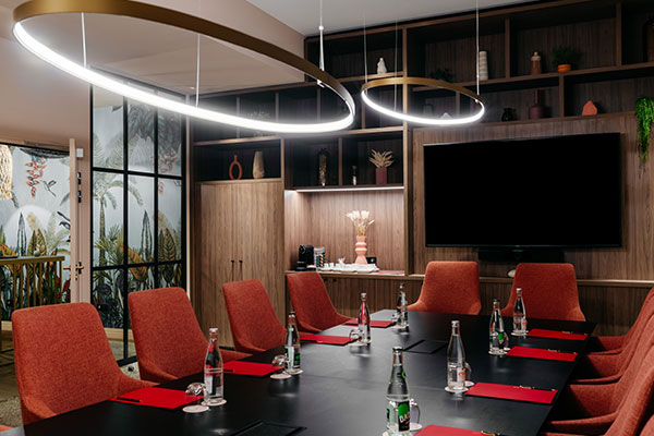 Professional meeting and business lunch in Strasbourg city centre