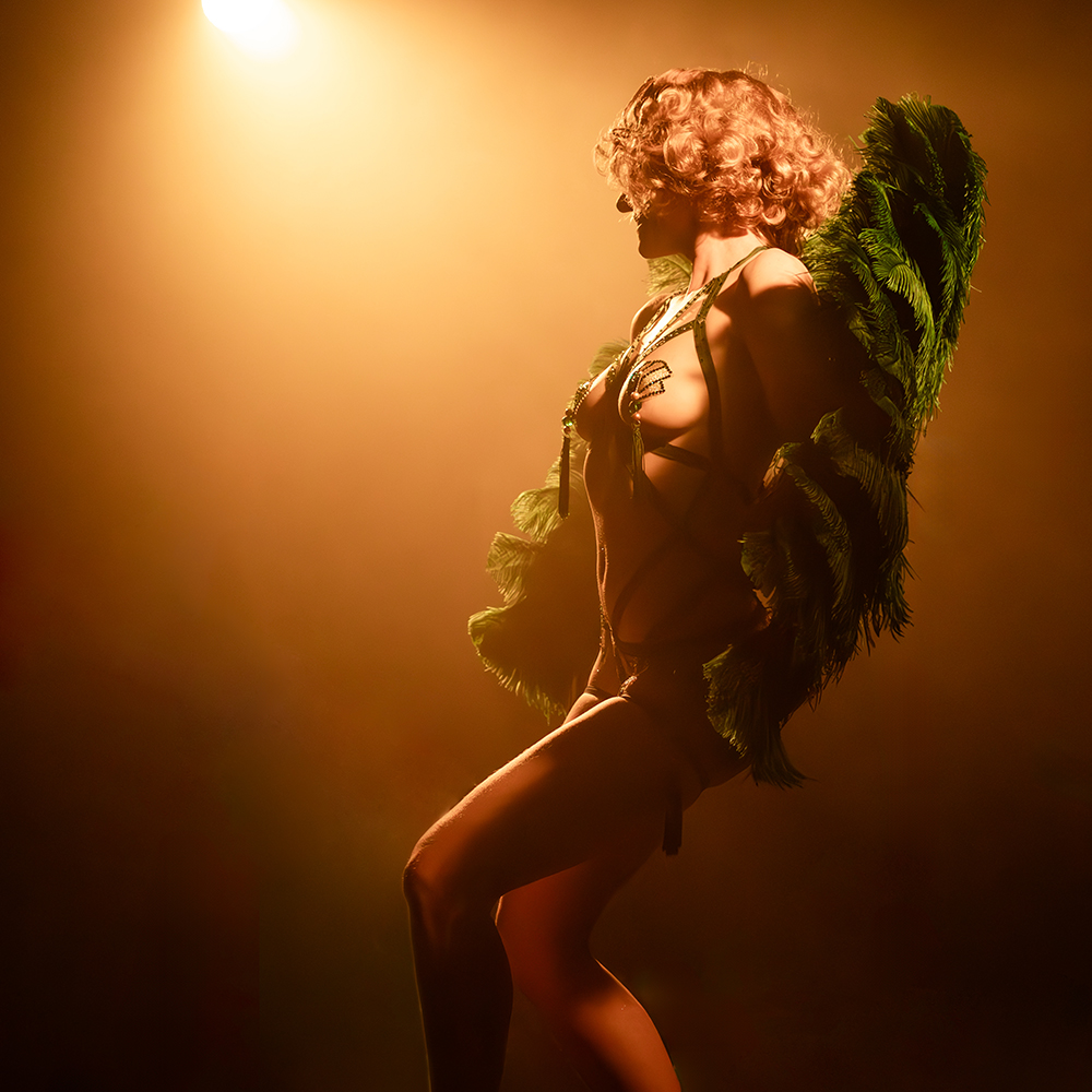 Cabaret dinner shows
« Revue & Corrigée »