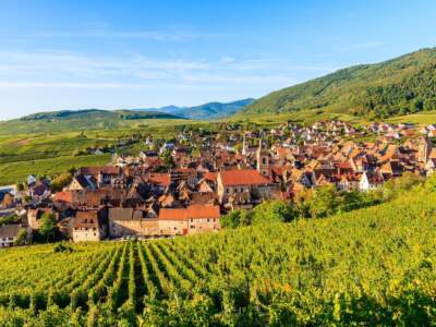 Vendanges en Alsace : composer son week-end vinothérapie depuis Strasbourg